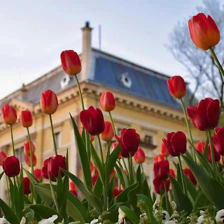 Spacious And Relaxing