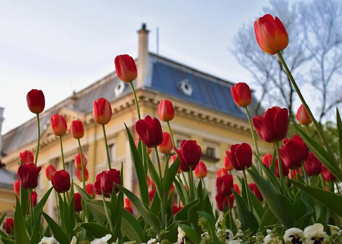 Spacious And Relaxing